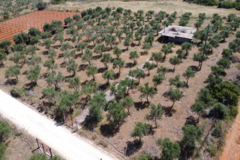 Mouzouras Kreta, Mouzouras: Flaches Grundstück mit Panoramablick zu verkaufen Grundstück kaufen